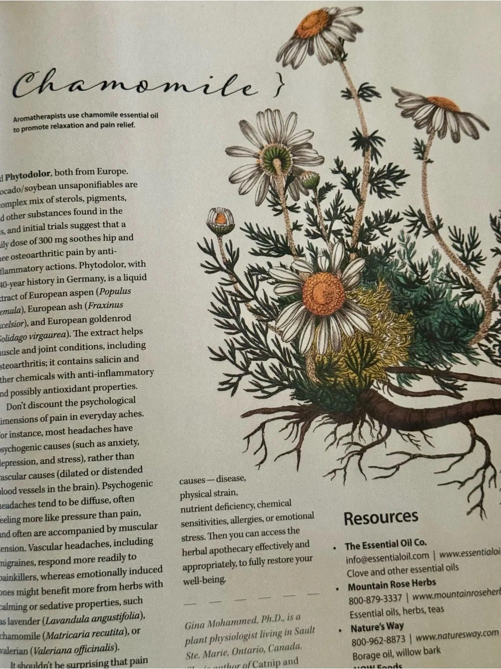 Mother Earth News Magazine Collector Series 2025 Grow Cook Heal with Herbs